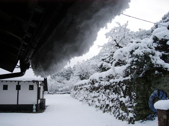 銀世界その1 有田焼窯元 しん窯青花 公式通販サイト